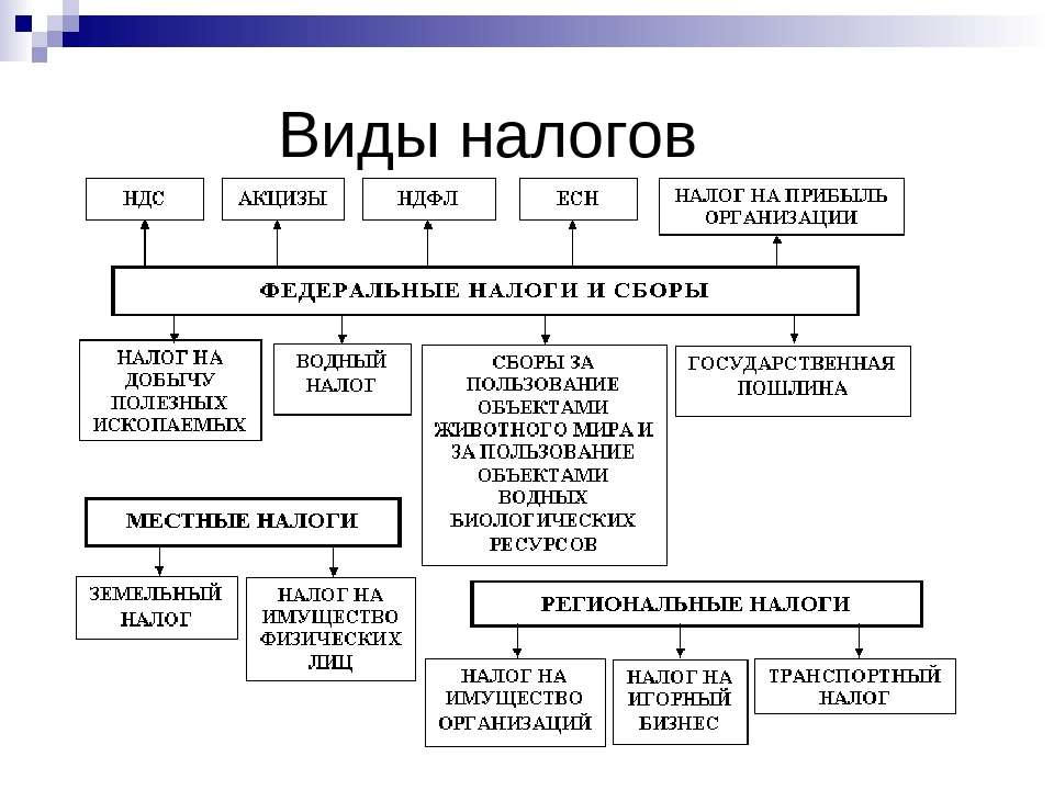 Налоги и налоговая система план