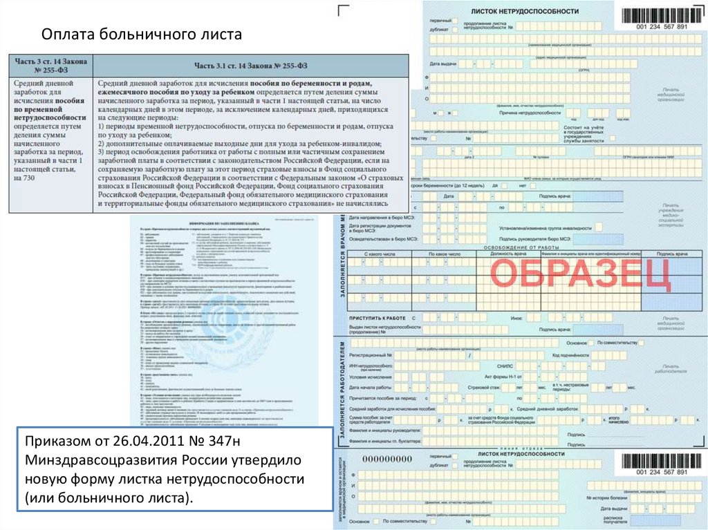 Образец заполнения больничного листа в 2020 году работодателем образец