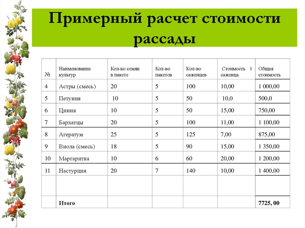 Бизнес план на клубнику в открытом грунте