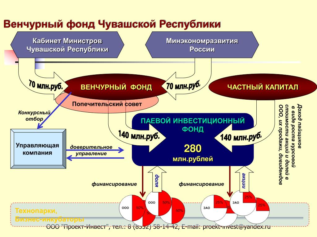 Создание венчурных предприятий обеспечивающих реализацию рисковых проектов называется