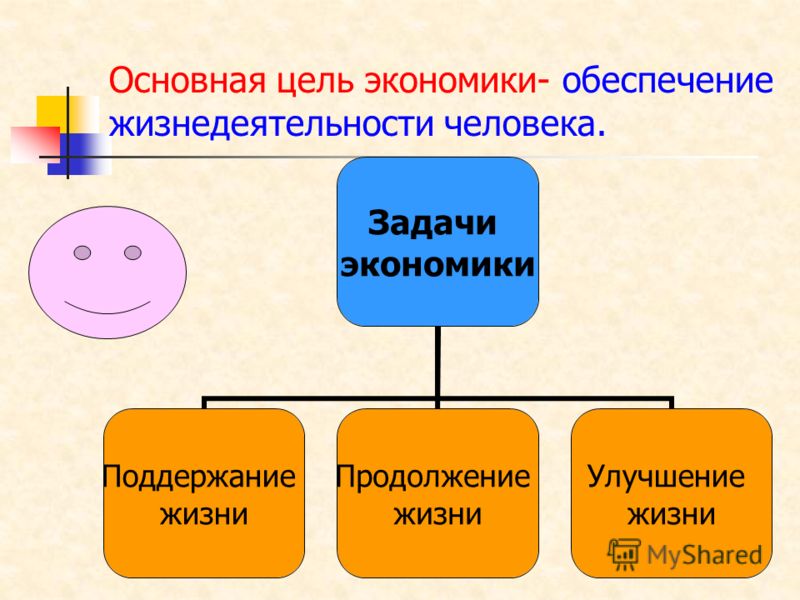 Экономика обеспечивает людей