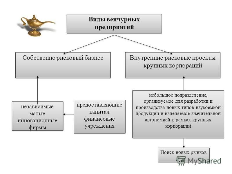 Создание венчурных предприятий обеспечивающих реализацию рисковых проектов называется