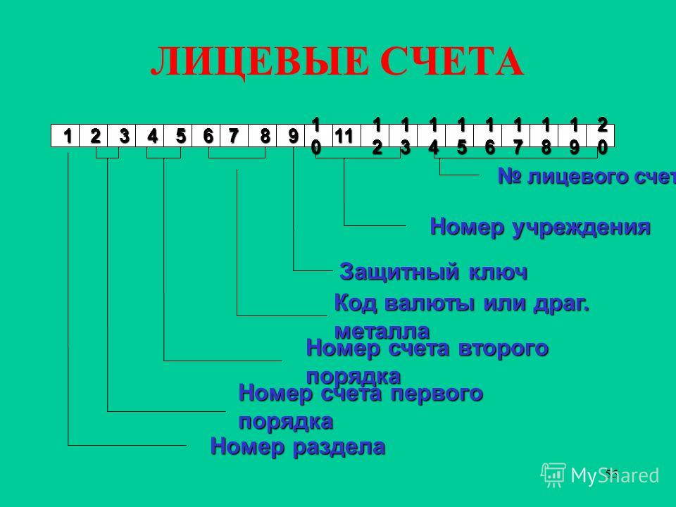 Порядок нумерации. Структура лицевого счета. Расшифровка лицевого счета. Структура лицевых счетов. Структура банковского счета.