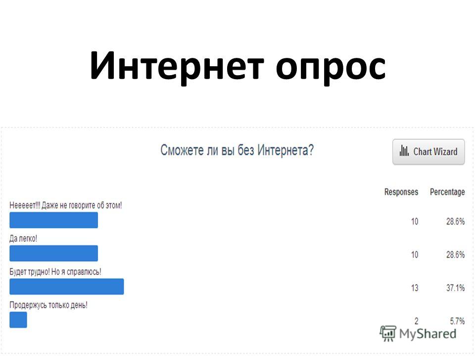 Интернет опросы провести