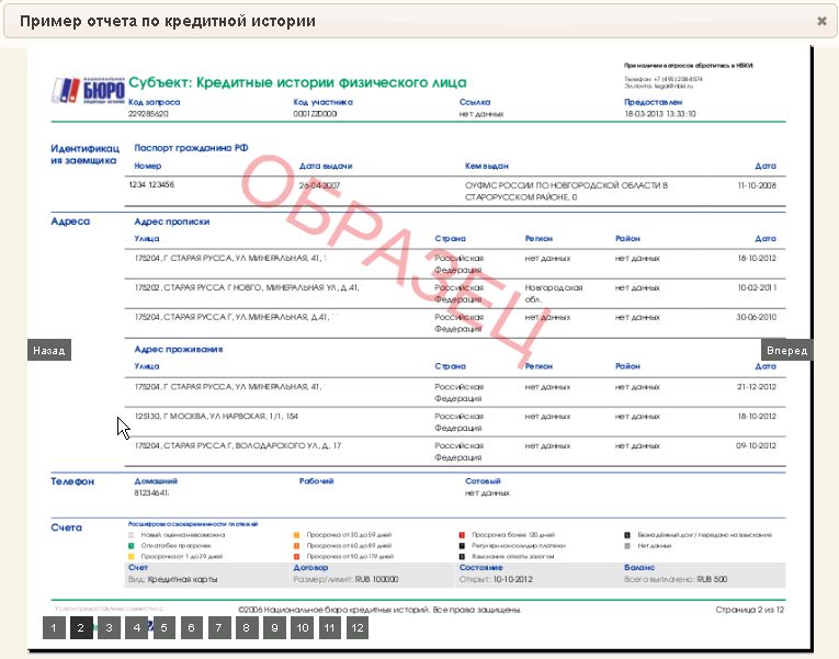 Согласие на запрос в бки образец