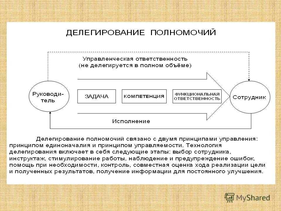 Структура организации и делегирования полномочий команды реализующей проект