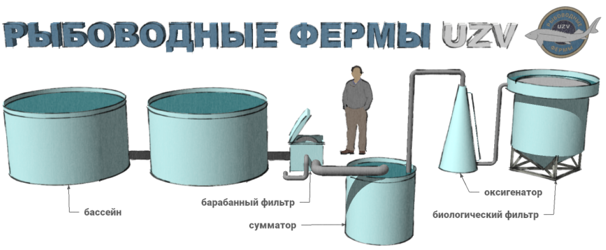 Схема узв для осетра своими руками