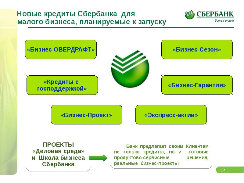 Индивидуальный проект кредит