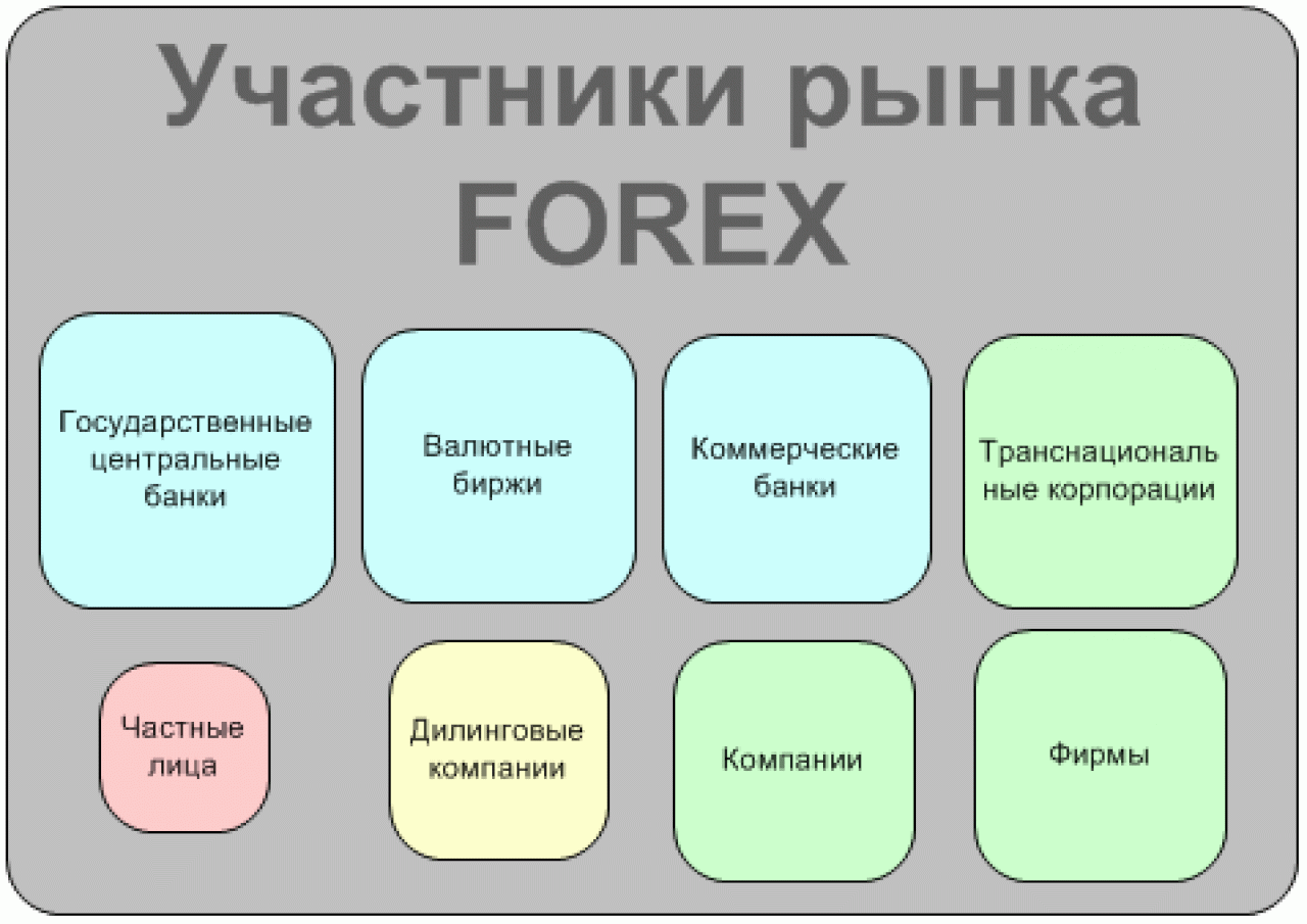 Participants in forex market ppta latency arbitrage trading forex