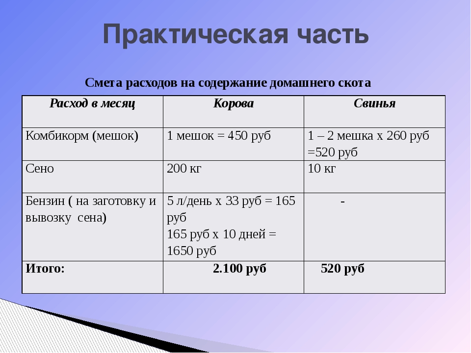 Бизнес план для социального контракта в социальную защиту на подсобное хозяйство крс образец