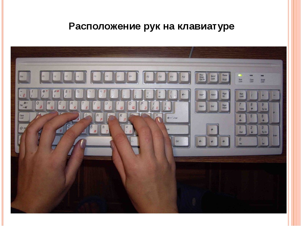 Местоположение рук. Расположение рук на клавиатуре. Расположение рук на клатвьура. Правильное расположение рук на клавиатуре. Правильная раскладка клавиатуры.
