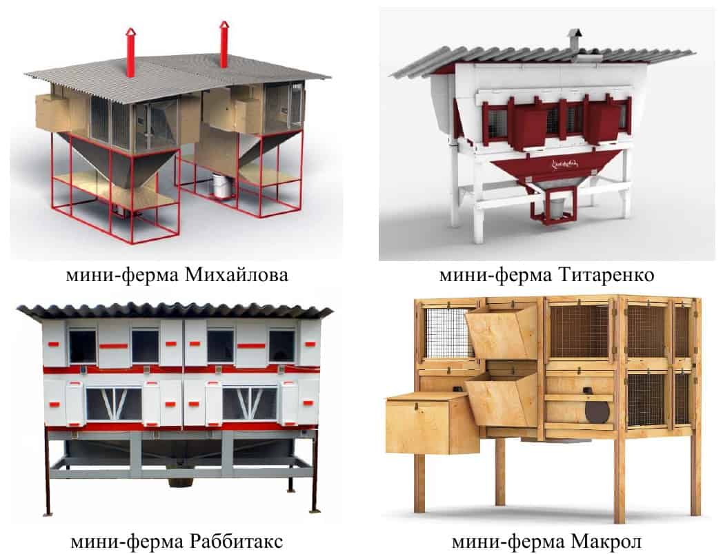 Бизнес план миакро