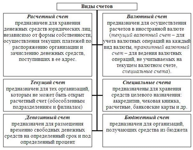 Виды счетов схема