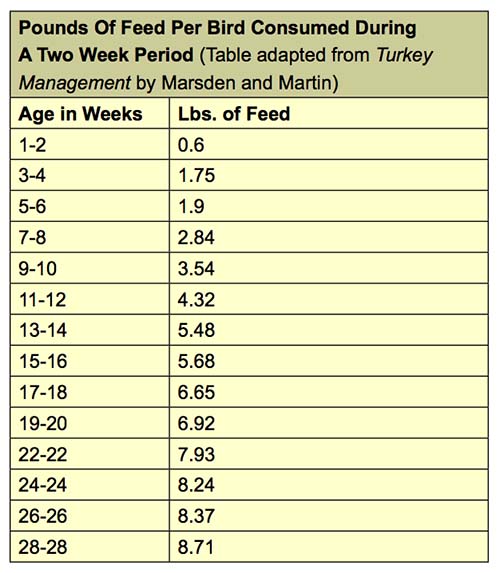 How much to feed turkey