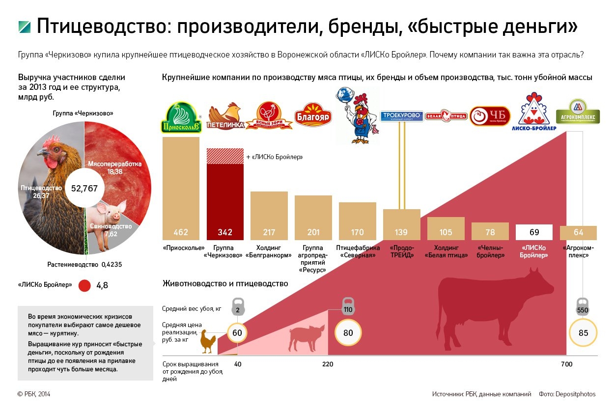 Сколько птицы мяса. Производство мяса птицы. Производство мяса птицы в России. Структура птицеводства. Производители куриного мяса.