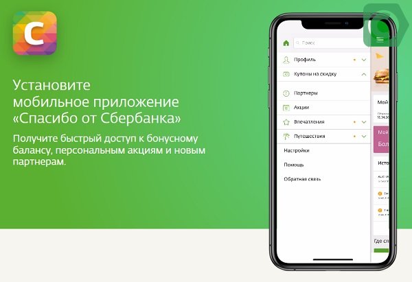 Программа спасибо от Сбербанка 2020 условия. Сбер спасибо в Связном. Евросеть бонусы спасибо от Сбербанка. Сбер спасибо Beeline. Приложение сбер спасибо недоступно