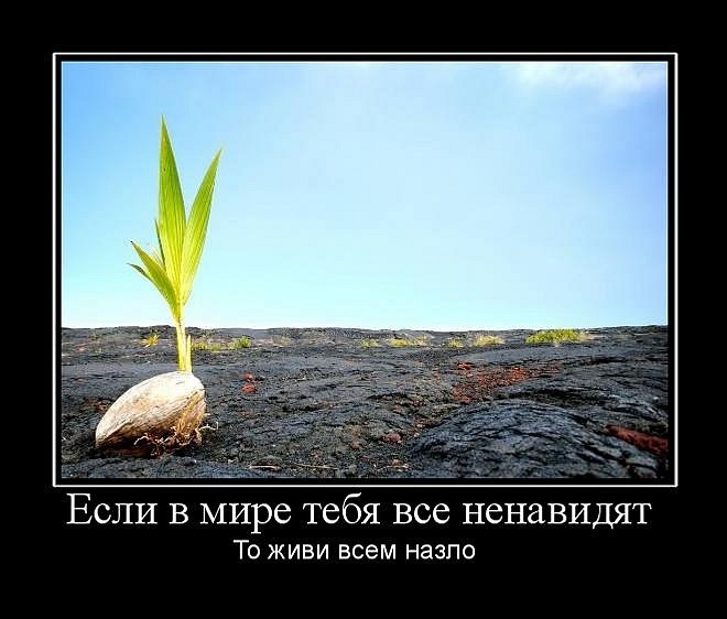 У меня есть цель. А жизнь продолжается. Иди к своей цели. Иди к своей цели несмотря ни на что. Идти к цели несмотря ни на что.