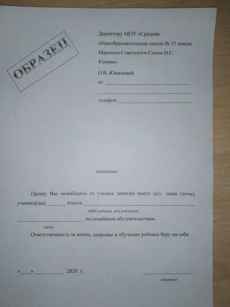 Заявление в колледж об отсутствии студента по семейным обстоятельствам от студента образец
