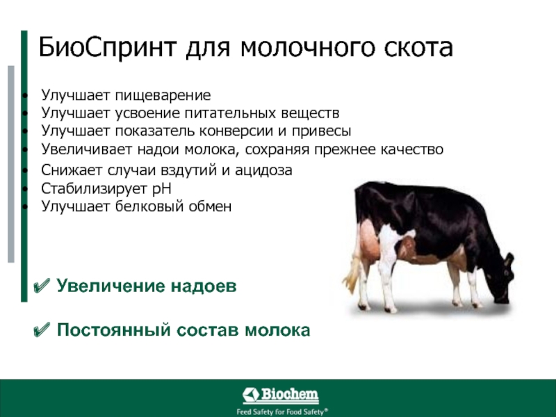 Бизнес план по разведению крупного рогатого скота мясного направления