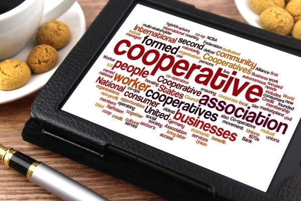 Co-operative (Co-op)