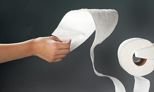 toilet-paper-support-structure