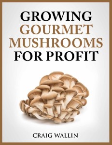 Mushroom ebook cover large