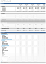 Profit and Loss Statement