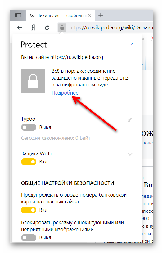 Окно Protect в Яндекс Браузере